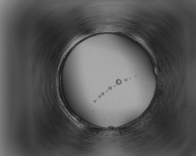 X0000052611187200507160029