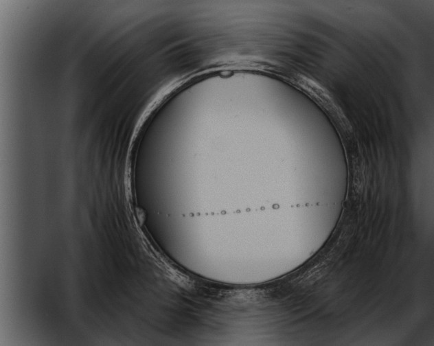 X0000052611188200507160029