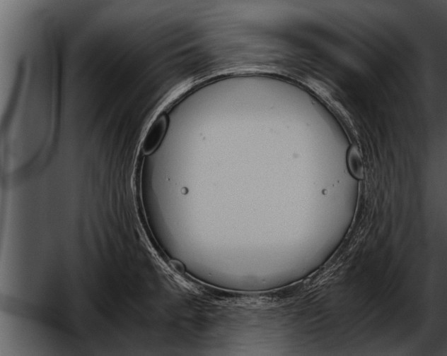 X0000052611189200507160029