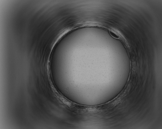 X0000052611190200507160029