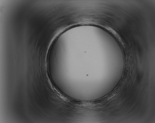 X0000052611191200507160029