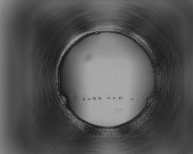 X0000052611192200507160029