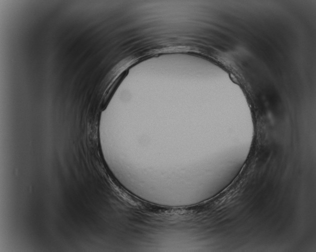 X0000052611193200507160029