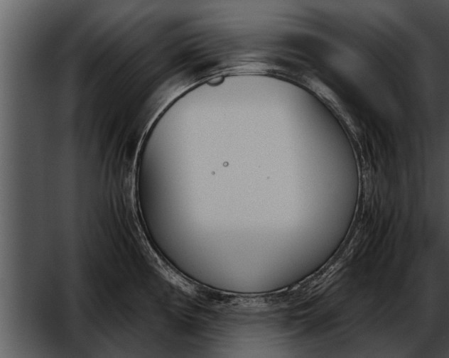 X0000052611194200507160029