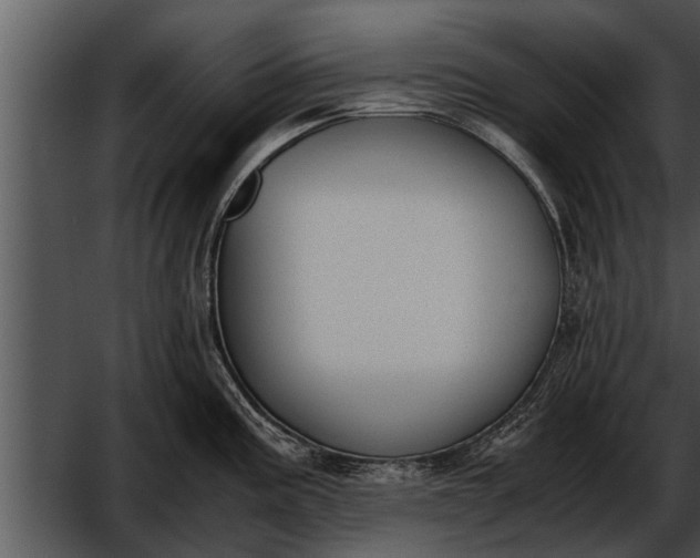 X0000052611195200507160029