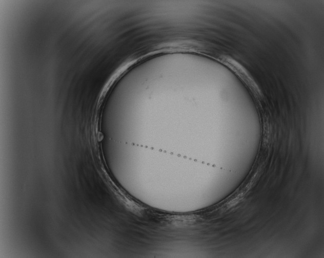 X0000052611196200507160029