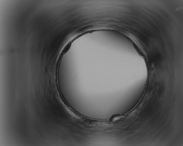 X0000052611197200507160029