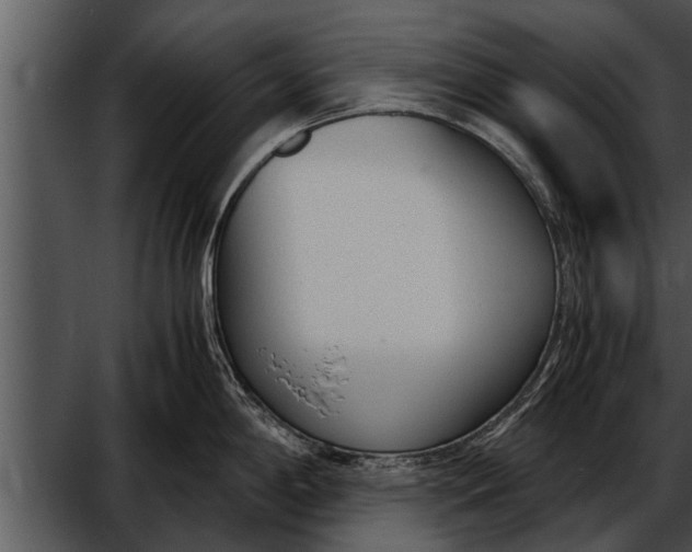 X0000052611198200507160029