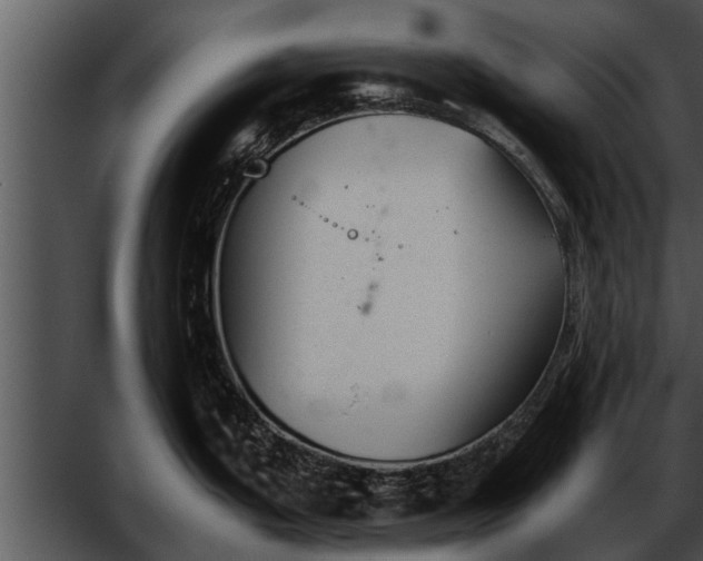 X0000052611199200507160029