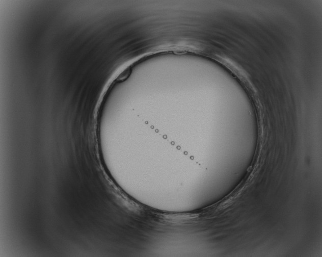 X0000052611200200507160029