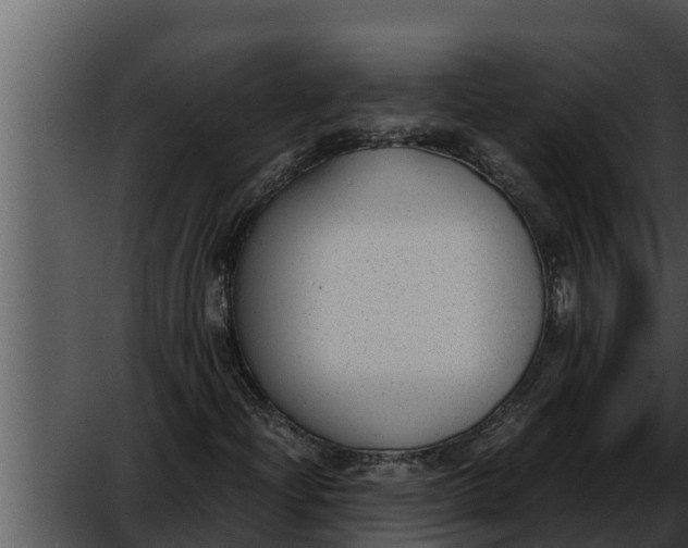 X0000052611204200507160028