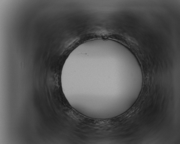 X0000052611205200507160028