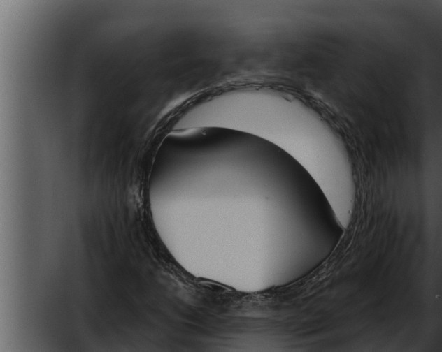 X0000052611206200507160028