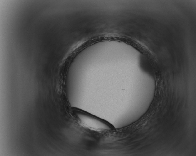 X0000052611207200507160028