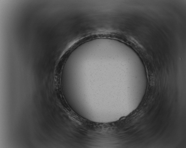 X0000052611208200507160028