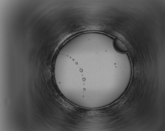 X0000052611212200507160028