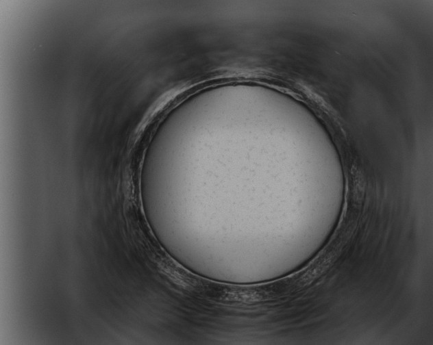 X0000052611215200507160028