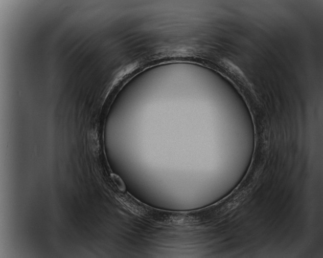 X0000052611218200507160028