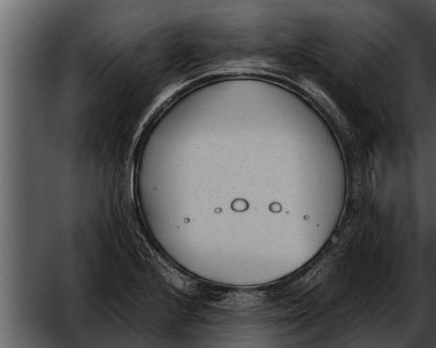 X0000052611224200507160029