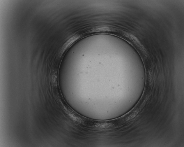 X0000052611225200507160029