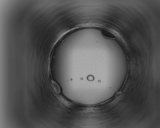 X0000052611228200507160029