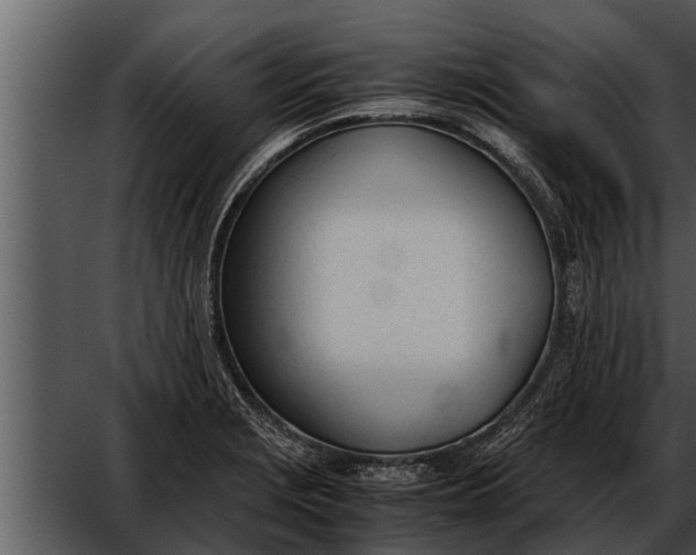 X0000052611229200507160029