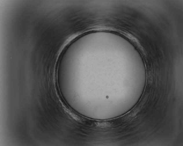 X0000052611231200507160029