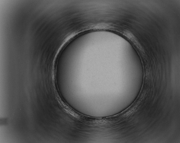 X0000052611232200507160029