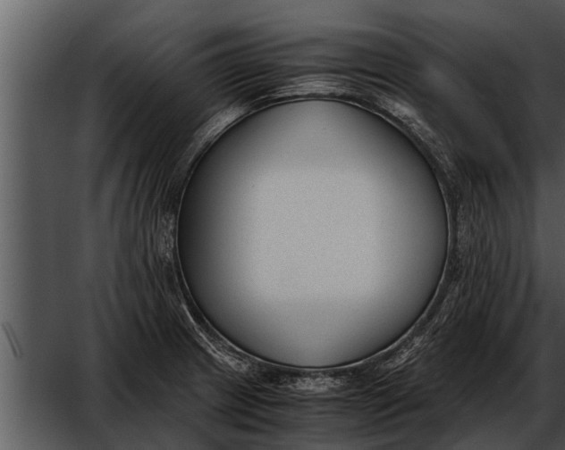 X0000052611233200507160029