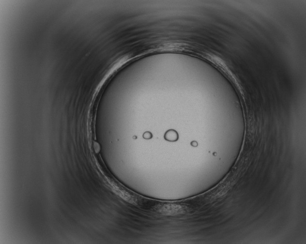 X0000052611235200507160029