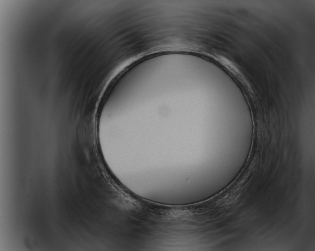 X0000052611238200507160029