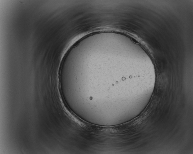 X0000052611239200507160029