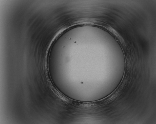 X0000052611240200507160029