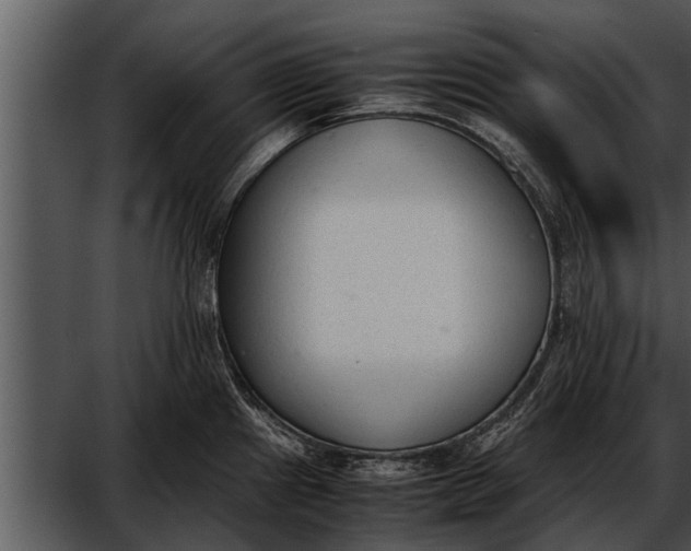 X0000052611241200507160029