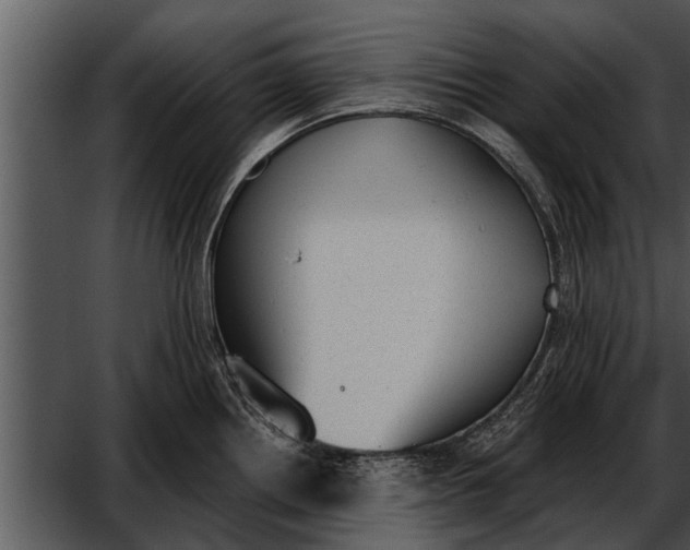 X0000052611242200507160029