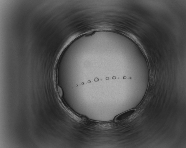 X0000052611243200507160029