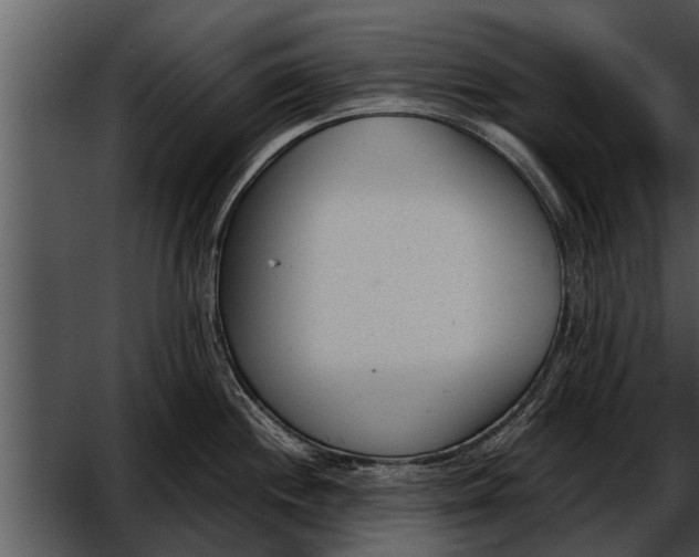 X0000052611244200507160029