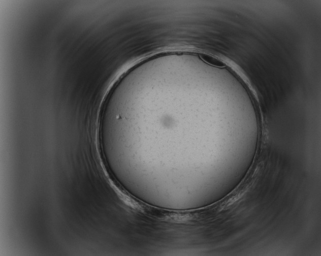 X0000052611245200507160029