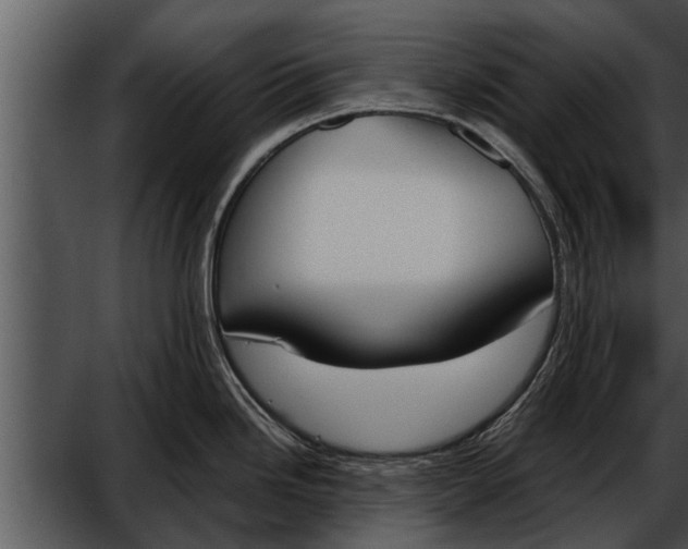 X0000052611246200507160029