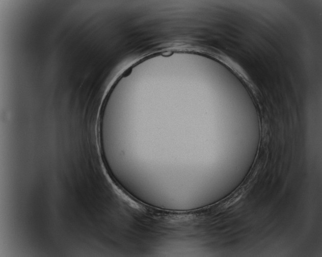 X0000052611247200507160029