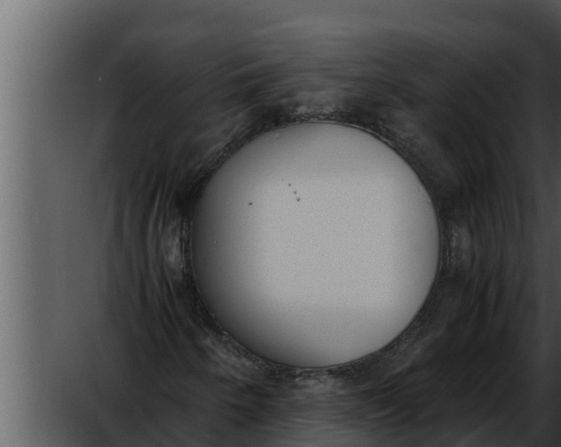 X0000052611250200507160028