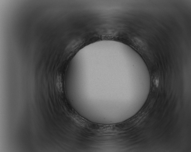 X0000052611252200507160028