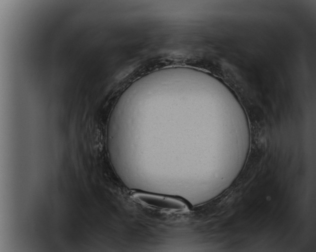 X0000052611253200507160028