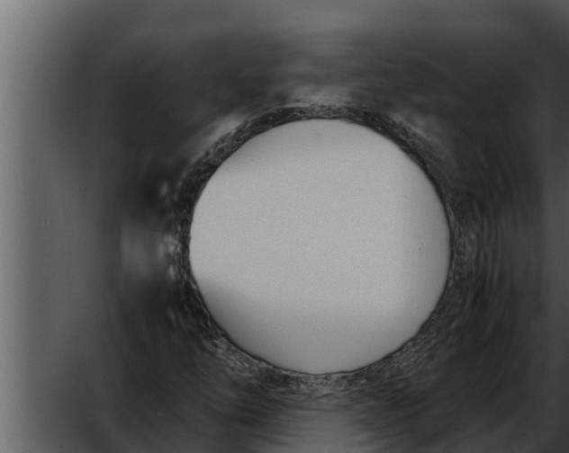 X0000052611254200507160028