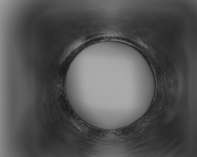 X0000052611255200507160028