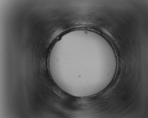 X0000052611259200507160028