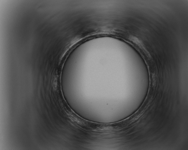 X0000052611260200507160028