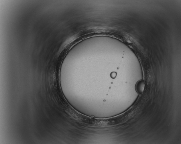 X0000052611261200507160028