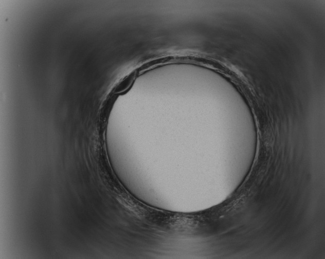 X0000052611263200507160028