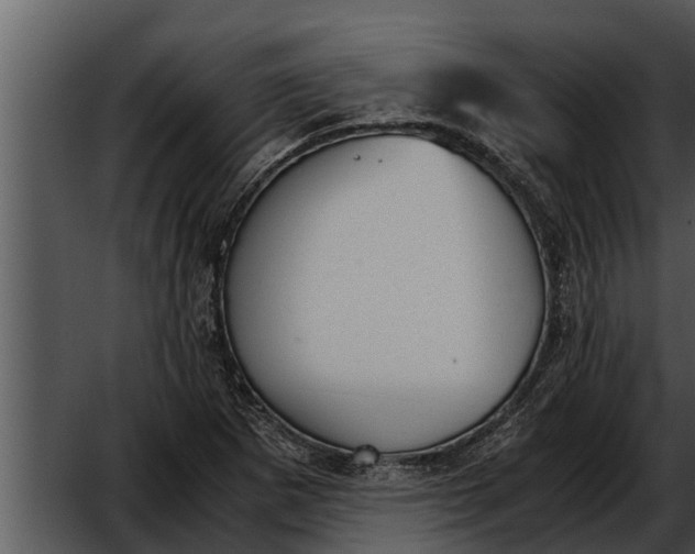 X0000052611265200507160028